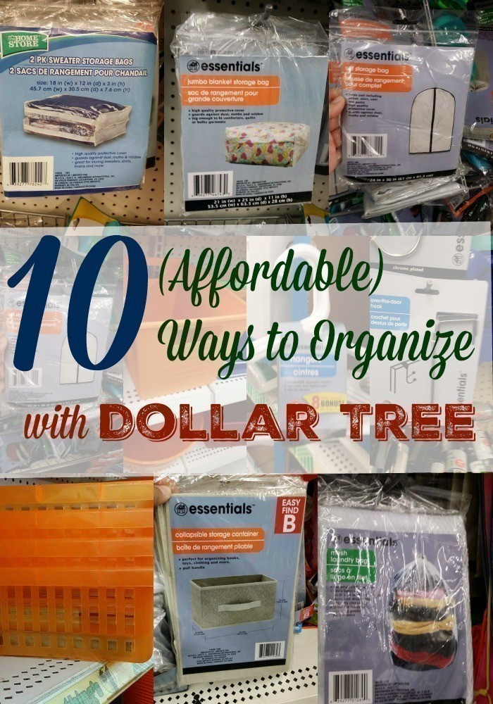 DOLLAR TREE SPACE BAGS REVIEW: Do Dollar Tree Vacuum Seal Bags really work?  