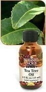 Botanic Choice: FREE Ship (No Min)–Essential Oil as low as $3