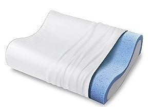 Sears: Sleep Innovations Memory Foam Gel Contour Pillows B1G1 FREE $30 Shipped!