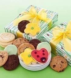 Living Social: $30 to Cheryl’s Cookies for $15 (Summer Sampler $17 Shipped or FREE Ship to APO!)