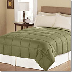 *Still Going!* Living Quarters Reversible Microfiber Down Alternative Comforter $19.97 + FREE Shipping (was $120)