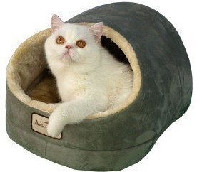 PetSmart: 50% off Participating Items (thru 11/26)  ~Great Deal on Pet Beds