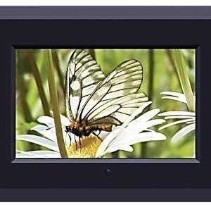 Staples: Sungale 7 inch Digital Picture Frame $20 + FREE Store Pick Up(reg. $50)