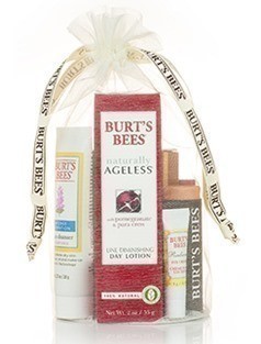 Burt’s Bees Spring Grab Bag just $22 (+ Shipping)