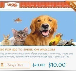 Coupaw.com: $20 to Wag.com as low as $5