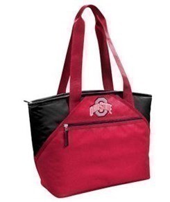 NCAA 16-Can Cooler Tote just $7 + Free Store Pick Up (Great for Gift Giving)