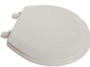 Kmart: Essential Home Wood Bone Toilet Seat $1.69 or FREE