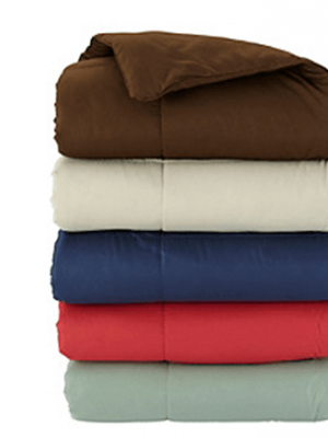 Bon-Ton: Microfiber Down-Alternative Throw just $10 + FREE Shipping