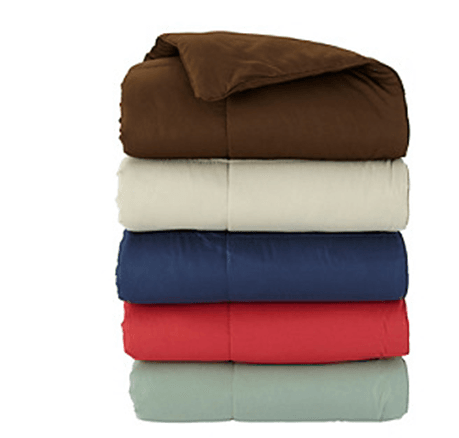 Bon-Ton: Microfiber Down-Alternative Throw just $12 + FREE Shipping