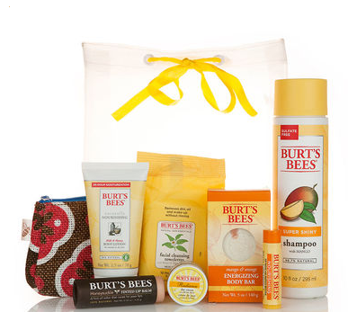 Burt’s Bees Sampler Pack just $25 {Shipped}