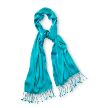 Sears: Women’s Fringe Scarves as low as $1.99 + Free Pick Up