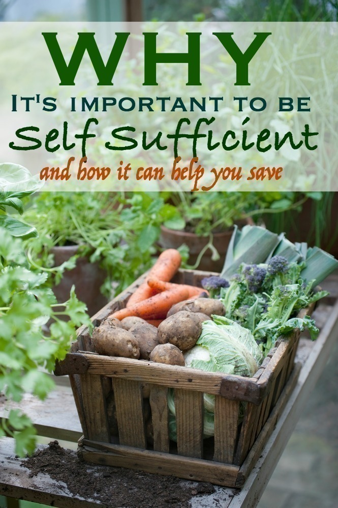 Why It s Important To Be Self Sufficient How It Can Help You Save 