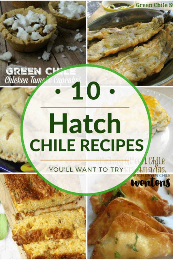 10-hatch-green-chile-recipes-the-centsable-shoppin