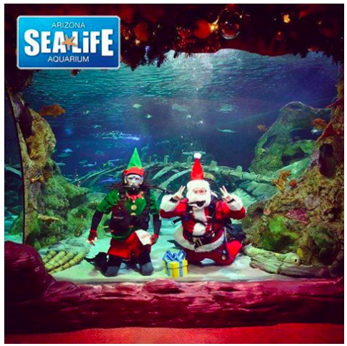 Sea Life Arizona: $10 Tickets through December 25th