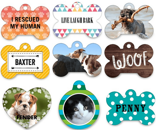 Shutterfly: FREE Pet Tag or 16×20 Print