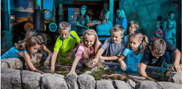 Up to 30% OFF Sea Life Arizona Admission