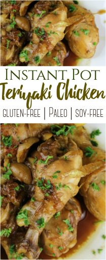 Instant Pot Teriyaki Chicken | The CentsAble Shoppin