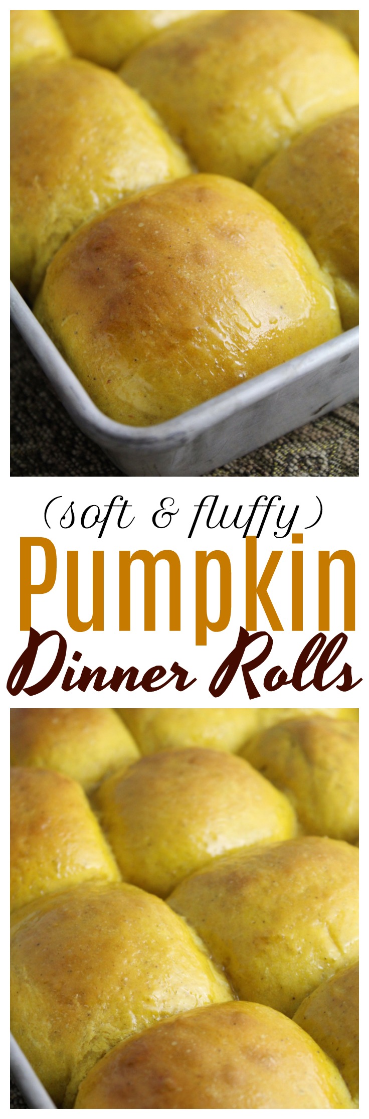 Pumpkin Dinner Rolls The CentsAble Shoppin