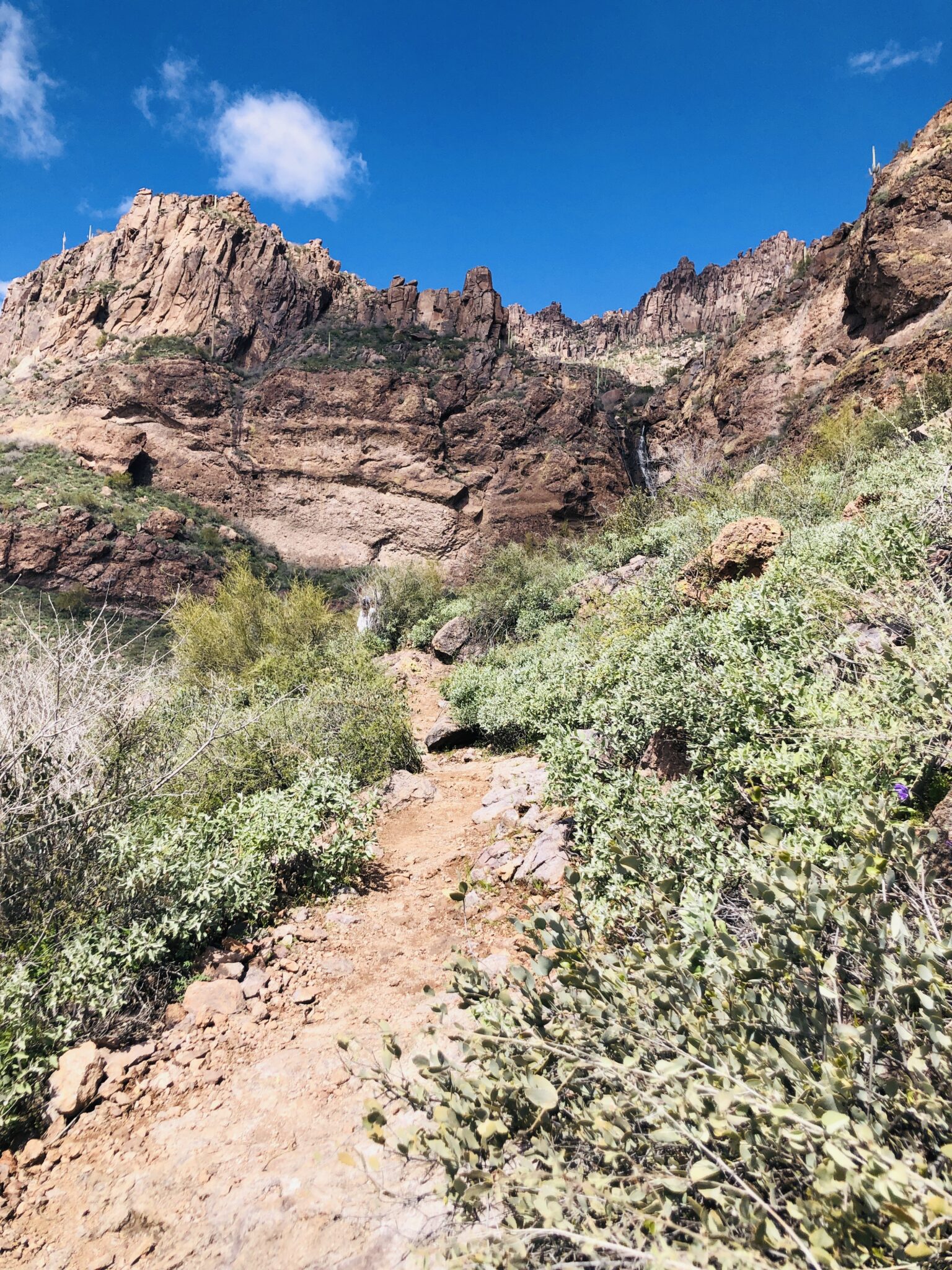 Best Family Friendly Hikes in the East Valley  The CentsAble Shoppin