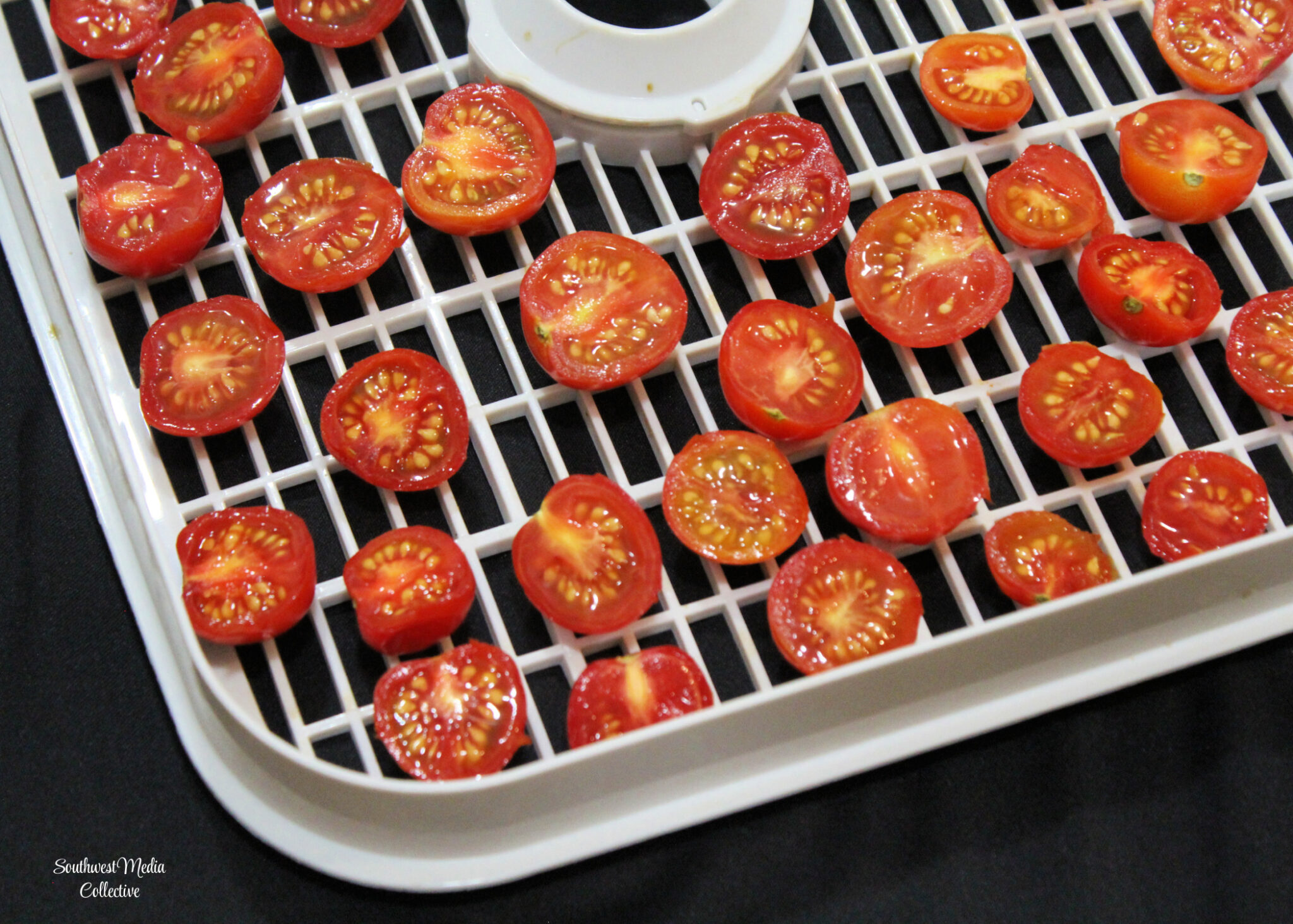 How to Dehydrate Cherry Tomatoes The CentsAble Shoppin